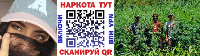 Названия наркотиков Новая Ладога Альфа ПВП  Марихуана  Мефедрон  ГАШИШ 