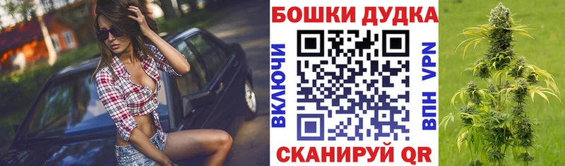 МАРИХУАНА индика Новая Ладога